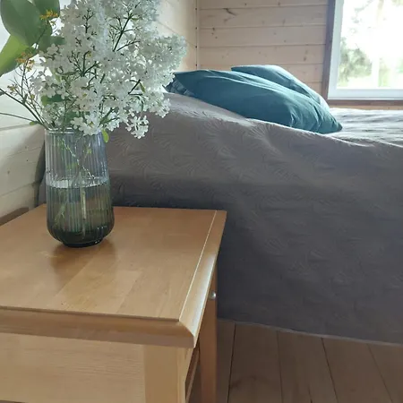 Ferienhaus Saimaan Kodikas Rantatalo *